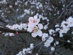 -乌龙峡谷景区