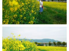-光明小镇欢乐田园
