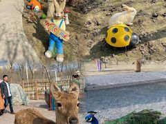 -水上乐园·欢乐世界