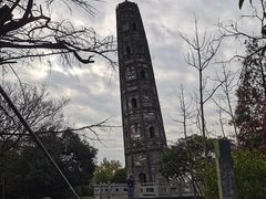 -上海佘山国家森林公园天马山园