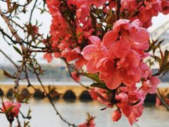 -澹台湖公园