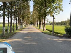 -嘉北郊野公园