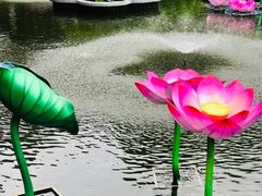 -豫园湖心亭茶楼