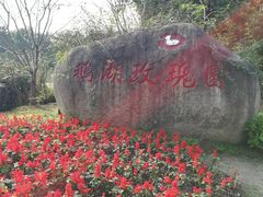 -鹅湖玫瑰文化园