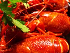 -0574龙虾的故事(东裕店)