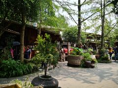 -青城甲(青城山店)