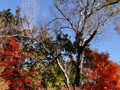 -长春市南湖公园