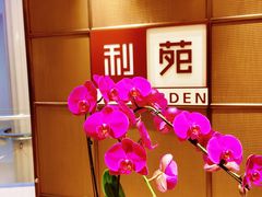 -利苑酒家(金宝店)