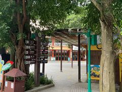 -西双版纳原始森林公园