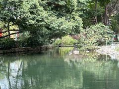 -成都市活水公园