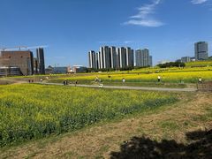 -光明小镇欢乐田园