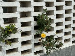 -东梓关景区村庄
