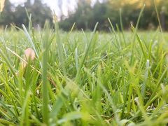 -回龙观体育文化公园