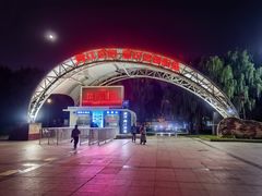 -武汉两江游览·夜游长江(汉口粤汉码头)