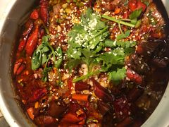 -雀蓝川菜(奥体广场店)