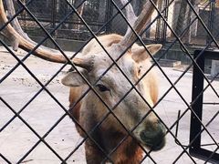 -武汉动物园