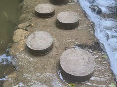 -牛背梁国家森林公园
