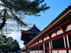 -奈良公园
