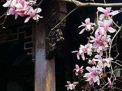 -胡雪岩故居