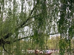 -翠湖公园