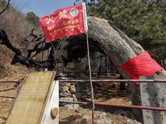 -藏山旅游风景区