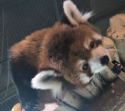 -Zoolung Zoolung动物主题公园(海信广场店)