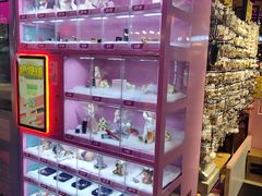 -南京时尚莱迪购物广场(正洪街店)