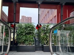门面-鲁采LU STYLE(新天地店)