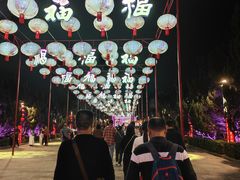 -南沙蒲洲花园