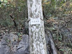 -九曜山