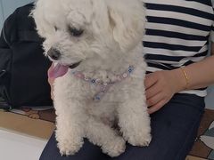 -纳吉亚猫专科动物诊疗中心(蒋宅口分院)