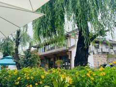 -春天里餐厅·云南创意菜特色美食(束河店)