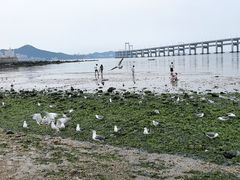 -黑石礁公园
