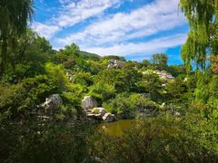 -北京西山国家森林公园