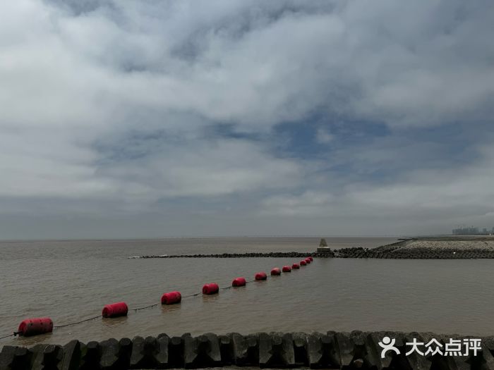 南汇嘴观海公园图片