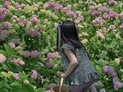 -金银湖国家城市湿地公园