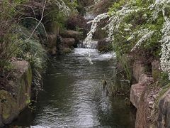 -中国茶叶博物馆(双峰馆区)