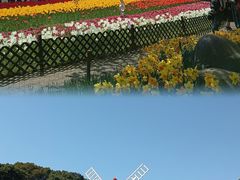 -苏州上方山国家森林公园