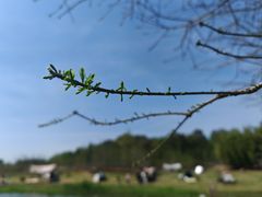 -上海辰山植物园