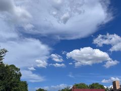 -盘龙城遗址博物院