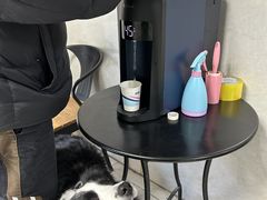 -关爱动物医院·心脏·中兽医·异宠(金牛路分院)