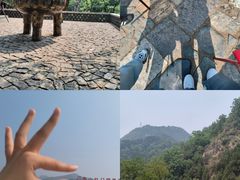 -泰山风景名胜区