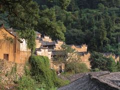-杨家堂村