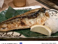 -札幌二条市场 大矶(本店)