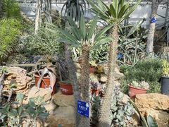 -国家植物园南园