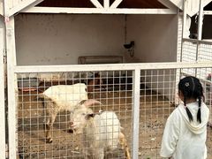 -J Create城市露营咖啡·简餐·宠物(上海动物园店)