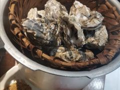 -臻炙大舍烤串(天龙家园店)