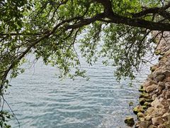 -抚仙湖禄充风景区