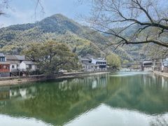 -鹿亭中村