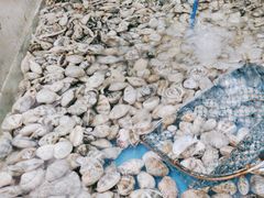 -鑫渔港海鲜本地菜·山海关浑锅(东戴河店)